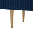 Posh Living Vail 2-Drawer Modern Wood Sideboard Buffet Cabinet in Navy/Gold