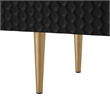 Posh Living Vail 2-Drawer Modern Wood Sideboard Buffet Cabinet in Black/Gold