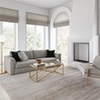 Henn&Hart Brass and Gold Rectangular Coffee Table with Glass Top