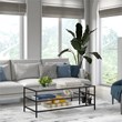 Henn&Hart Black Bronze Coffee Table with Glass Shelves