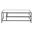 Henn&Hart Black Bronze Coffee Table with Glass Shelves