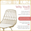 Adore Decor Vivi Dining Chair Set of 2 Gold