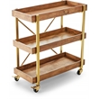 Adore Decor Riley Wooden Kitchen Bar Cart Gold