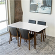 Denali Modern Solid Wood Walnut Kitchen & Dining Room Table and Chairs for 4