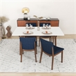 Desiree Modern Solid Wood Walnut Kitchen & Dining Room Table and Chairs for 4