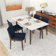 Desiree Modern Solid Wood Walnut Kitchen & Dining Room Table and Chairs for 4