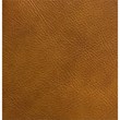Abel Mid-Century Modern Tight Back Genuine Leather Swivel Chair in Tan