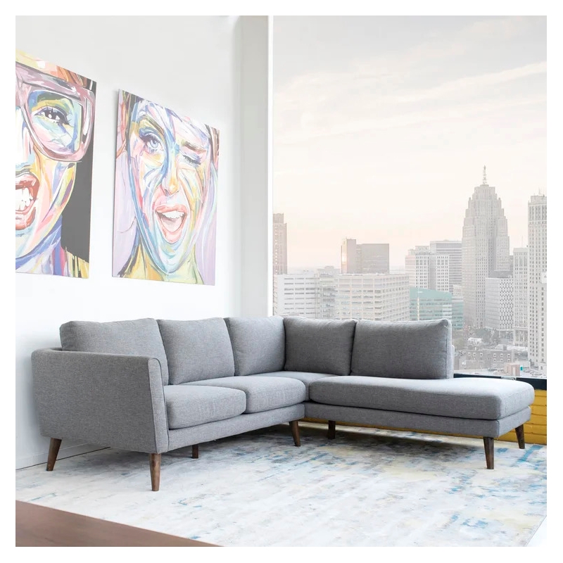 Beatrice Gray Microfiber Modern Living Room Right Facing Corner Sectional Sofa