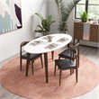 Aslan Modern Solid Wood Walnut Oval Dining Table and Chair Furniture Set for 4
