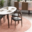 Aslan Modern Solid Wood Walnut Oval Dining Table and Chair Furniture Set for 4