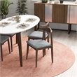 Aslan Modern Solid Wood Walnut Oval Dining Room Table and Chair Set for 4