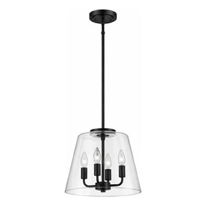 Seeut Metal Pendant Light with Clear Glass and Black Finish