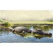Oversize Realistic Crocodile alligatory Garden Statue