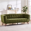 Alosio Mid Century Rectangular Tufted Back Velvet Upholstered Sofa in Olive Green