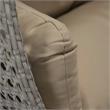 LeisureMod Mendoza Light Gray Wicker Patio Double Swing Chair in Taupe