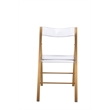 LeisureMod Menno Stainless Steel & Acrylic Folding Dining Chair in Gold/Clear