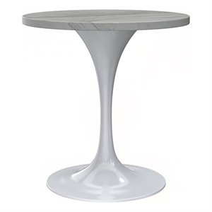 LeisureMod Verve Dining Table with a 27&quot Round Resin Tabletop in White