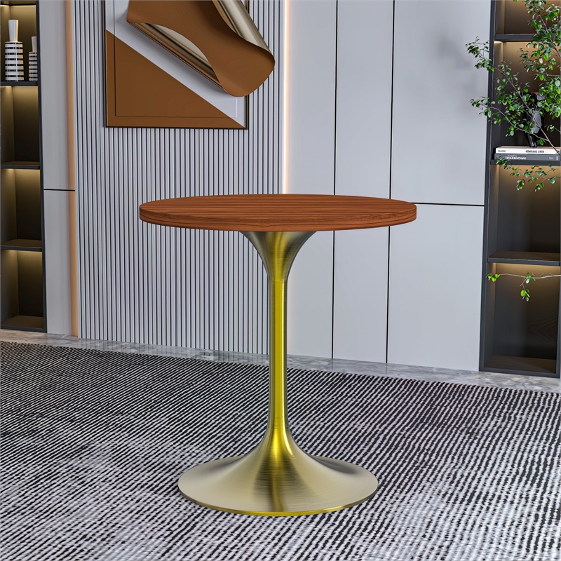 LeisureMod Verve 27