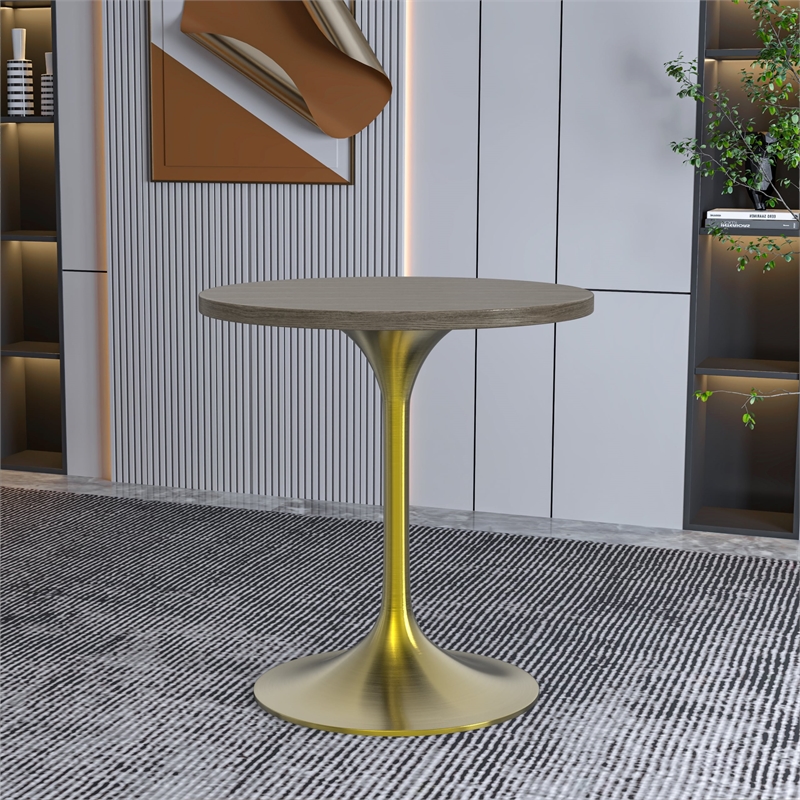 LeisureMod Verve 27