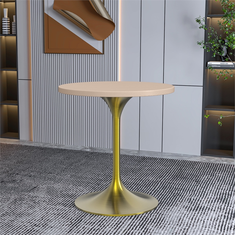 LeisureMod Verve 27