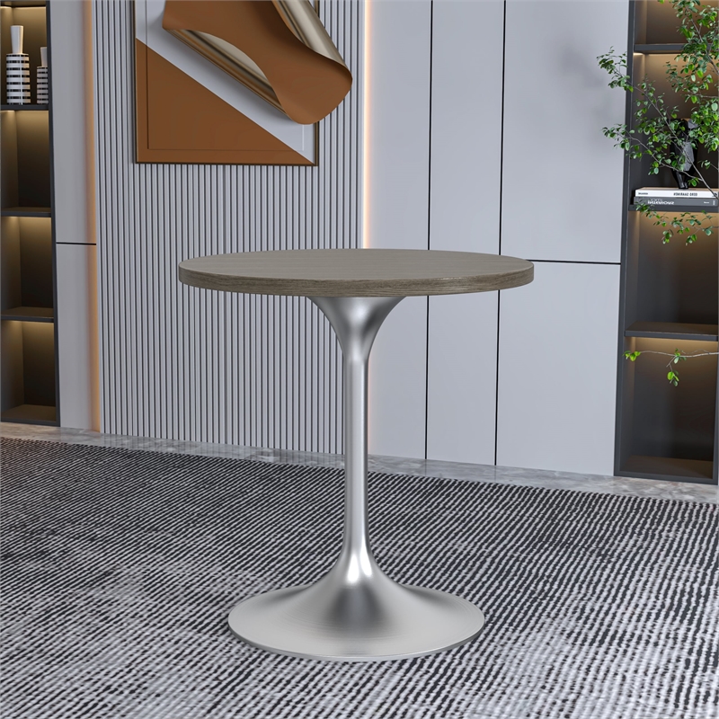 LeisureMod Verve 27