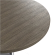 LeisureMod Verve 27