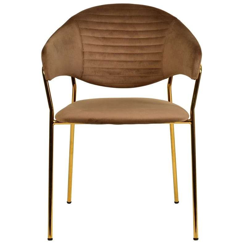 Dining Chair in Velvet Gold Stainless Steel Armchair in Brown