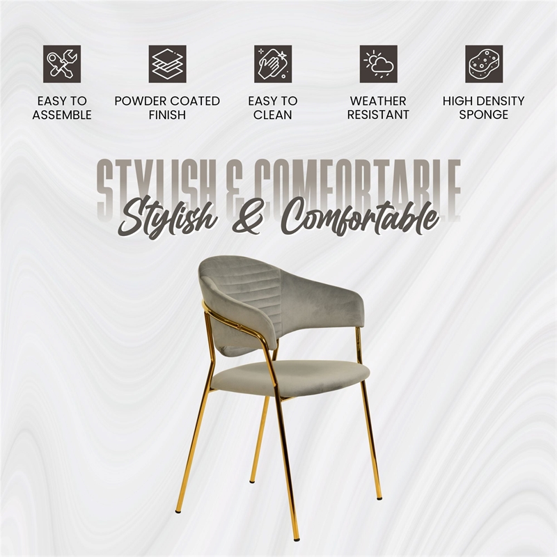 Dining Chair in Velvet Gold Stainless Steel Armchair in Light Gray