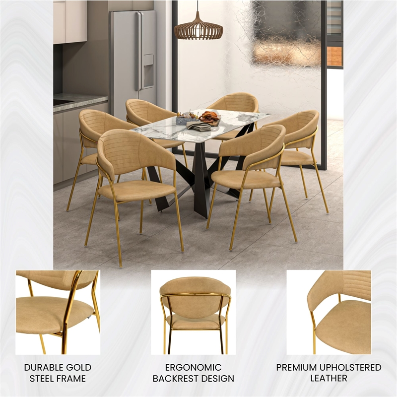 Dining Chair in Leather Gold Stainless Steel Armchair in Taupe