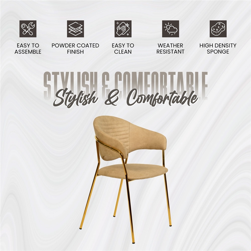 Dining Chair in Leather Gold Stainless Steel Armchair in Taupe