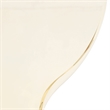 Transparent Plastic Dining Chair White Stainless Steel Base in Amber