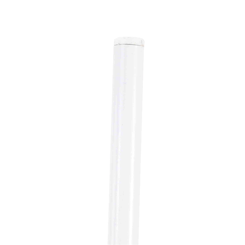 Transparent Plastic Dining Chair White Stainless Steel Base in Clear