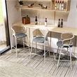 Ervilla Wicker Back and Leather Upholstered Bar Stool in Gray/White (Set of 2)