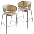 Ervilla Wicker Back and Leather Upholstered Bar Stool in Taupe/White (Set of 2)
