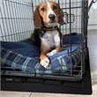 P-Tex Polypropylene Pet Crate Floor Protection Mat - XXL - 32