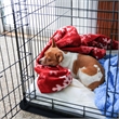 P-Tex Polypropylene Pet Crate Floor Protection Mat - XXL - 32