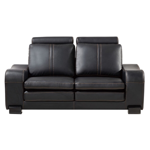 AE210 Black Color With Faux Leather Loveseat