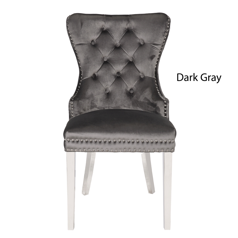 Erica 2 Piece Stainless Steel Legs Dinning Chair Finish with Velvet in Dark Gray
