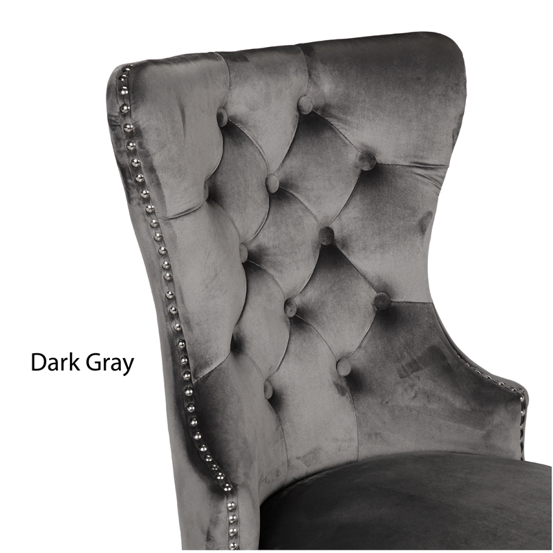 Erica 2 Piece Stainless Steel Legs Dinning Chair Finish with Velvet in Dark Gray