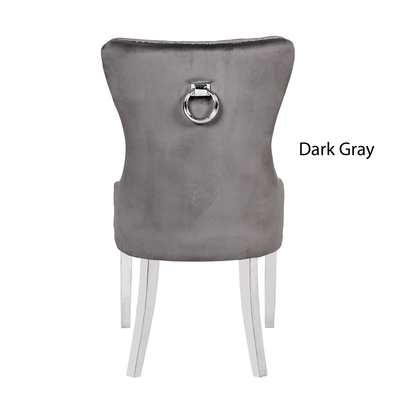 Erica 2 Piece Stainless Steel Legs Dinning Chair Finish with Velvet in Dark Gray