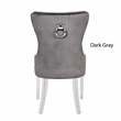 Erica 2 Piece Stainless Steel Legs Dinning Chair Finish with Velvet in Dark Gray