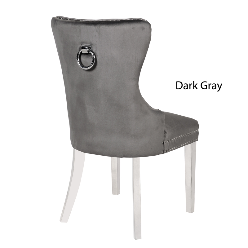 Erica 2 Piece Stainless Steel Legs Dinning Chair Finish with Velvet in Dark Gray
