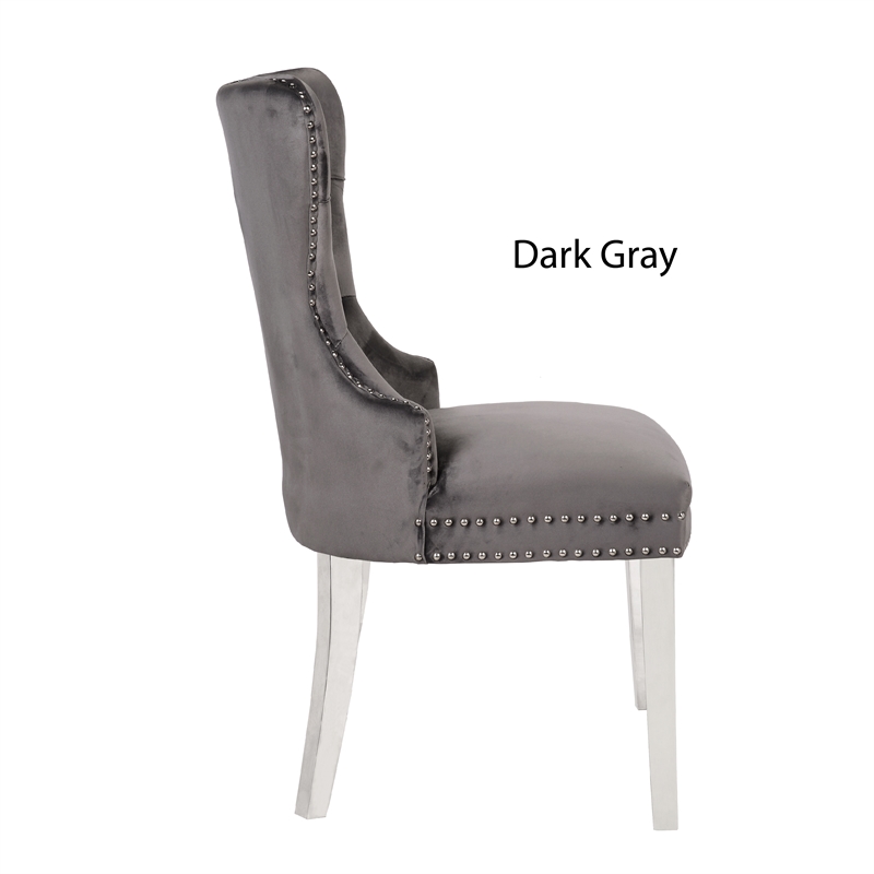 Erica 2 Piece Stainless Steel Legs Dinning Chair Finish with Velvet in Dark Gray