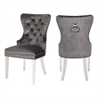 Erica 2 Piece Stainless Steel Legs Dinning Chair Finish with Velvet in Dark Gray