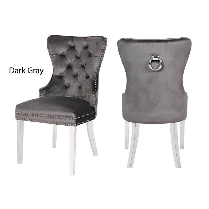Erica 2 Piece Stainless Steel Legs Dinning Chair Finish with Velvet in Dark Gray