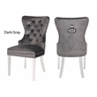 Erica 2 Piece Stainless Steel Legs Dinning Chair Finish with Velvet in Dark Gray