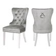 Erica 2 Piece Stainless Steel Legs Chair Finish with Velvet Fabric in Light Gray