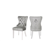 Erica 2 Piece Stainless Steel Legs Chair Finish with Velvet Fabric in Light Gray