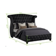 Sophia Upholstery Full Size Bed Made with Wood in Black Color