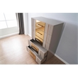 Lorenzo Gold Detailed Chest made with Wood and Gold accents in Gray